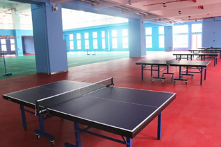 High quality table tennis PVC sports flooring